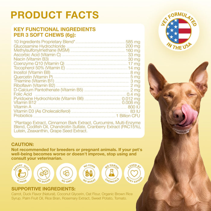 Kinpur 20-in-1 Multivitamin Soft Chews for Dogs, Duck, 180 Count