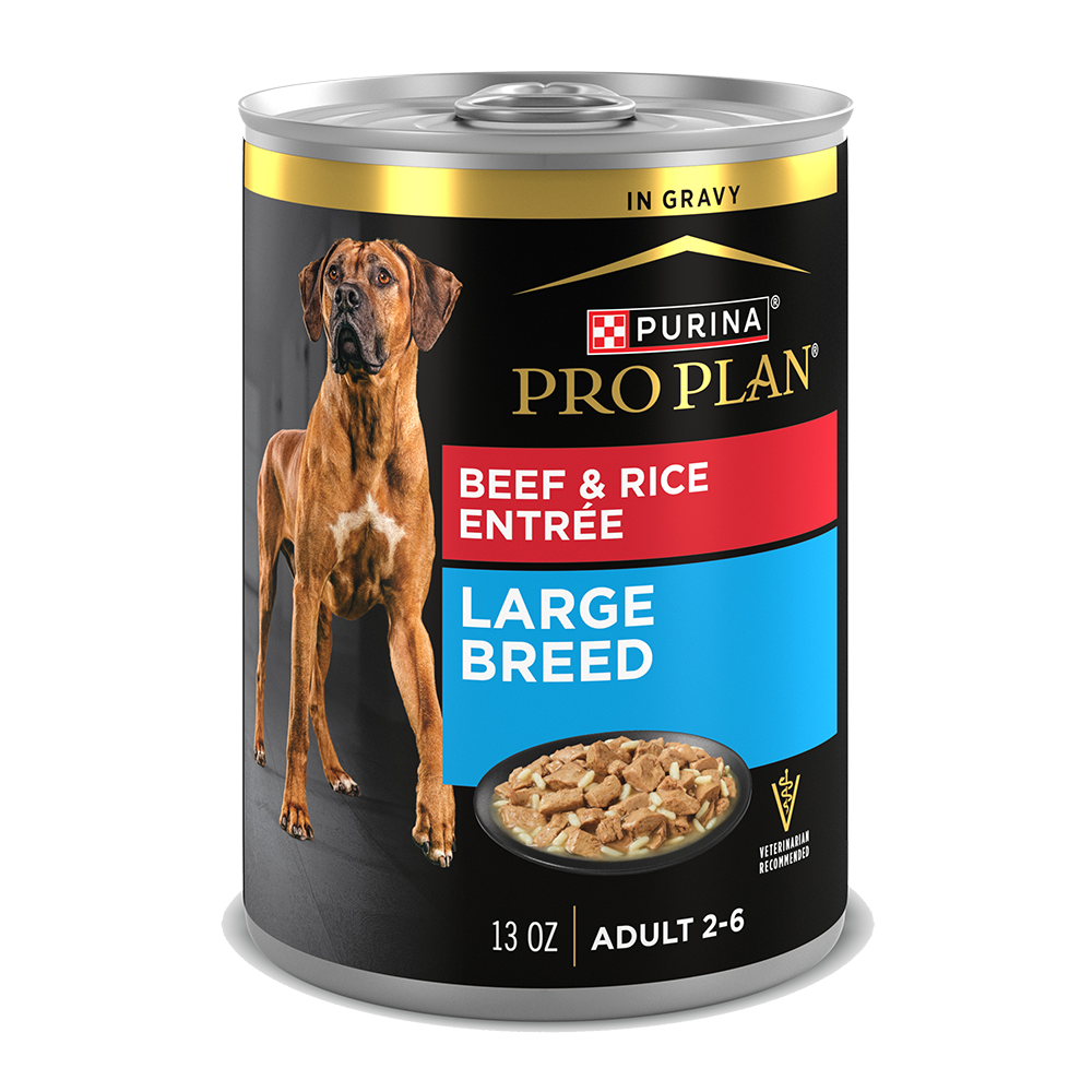 Purina Pro Plan Adult Large Breed Beef & Rice Entrée In Gravy Wet Dog Food — 13 oz — case of 12