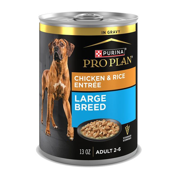 Purina Pro Plan Adult Large Breed Chicken & Rice Entrée In Gravy Wet Dog Food — 13 oz — case of 12
