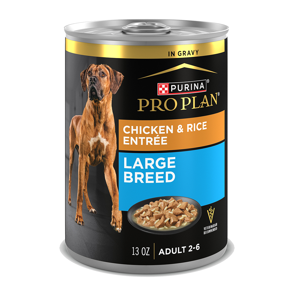 Purina Pro Plan Adult Large Breed Chicken & Rice Entrée In Gravy Wet Dog Food — 13 oz — case of 12