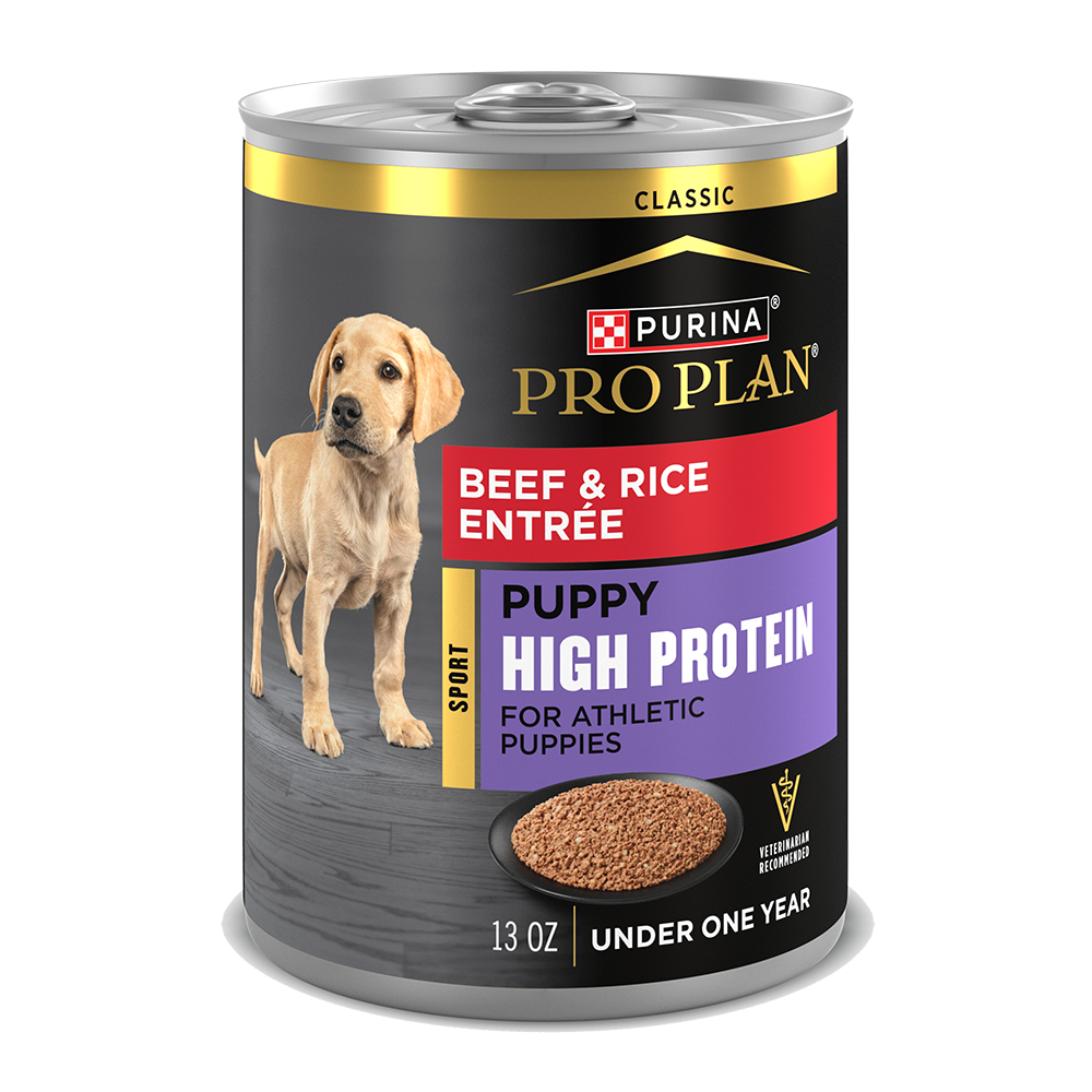 Purina Pro Plan Sport Puppy High Protein Beef & Rice Entrée Classic Wet Dog Food — 13 oz — case of 12