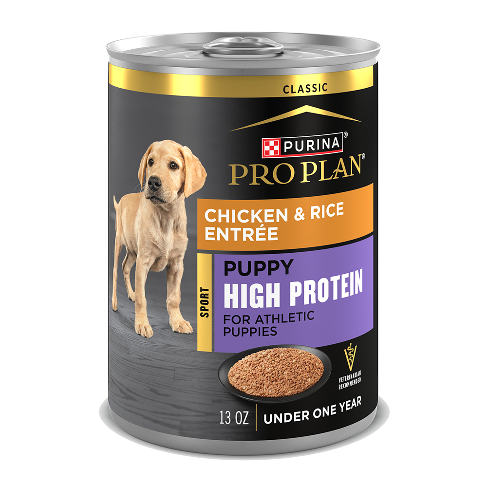 Purina Pro Plan Sport Puppy High Protein Chicken & Rice Entrée Classic Wet Dog Food — 13 oz — case of 12