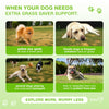Kinpur Green Lawn Soft Chews for Dogs, Duck, 120 Count