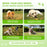 Kinpur Green Lawn Soft Chews for Dogs, Duck, 120 Count