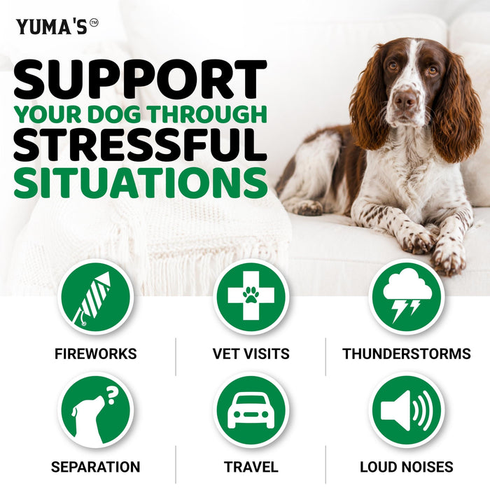 YUMA'S Hemp Calming Soft Chews for Dogs, Chicken Flavor, 170 Count
