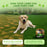 Kinpur Green Lawn Soft Chews for Dogs, Duck, 120 Count