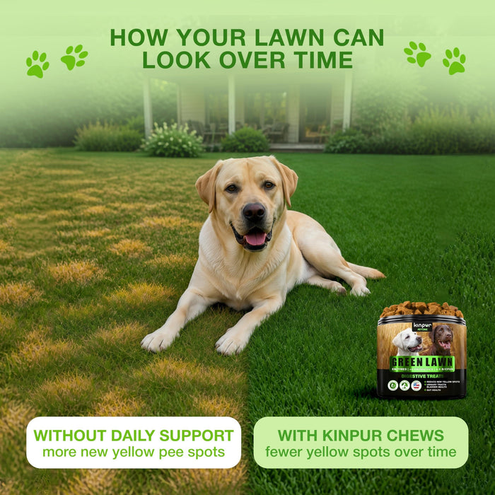 Kinpur Green Lawn Soft Chews for Dogs, Duck, 120 Count