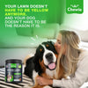 Chewia Green Lawn Soft Chews for Dogs, Duck Flavor, 180 Count