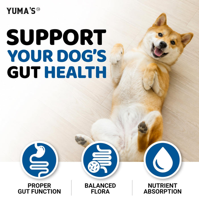 YUMA'S Probiotic & Digestive Enzyme Soft Chews for Dogs, Chicken Flavor, 2-Pack, 340 Count