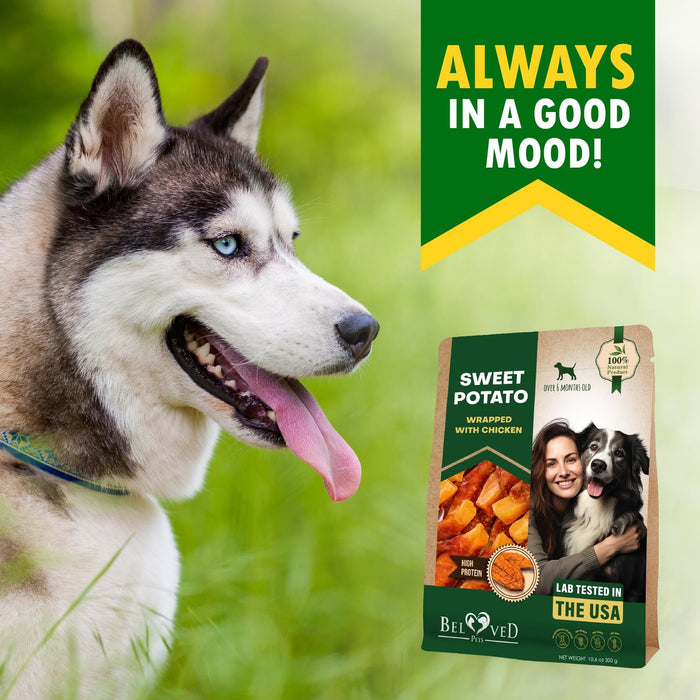 Beloved Pets Chicken-Wrapped Sweet Potato Dog Treats, 10.6 oz