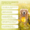 Kinpur Probiotic Soft Chews for Dogs, Duck, 120 Count