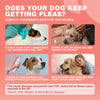 Chewia Flea & Tick Soft Chews for Dogs, Duck Flavor, 180 Count