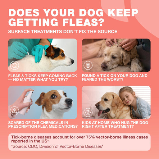 Chewia Flea & Tick Soft Chews for Dogs, Duck Flavor, 180 Count