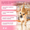 Kinpur Cranberry & D-Mannose Bladder Support Chews for Dogs