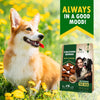 Beloved Pets Calcium Bones with Chicken Dog Treats, 10.6 oz