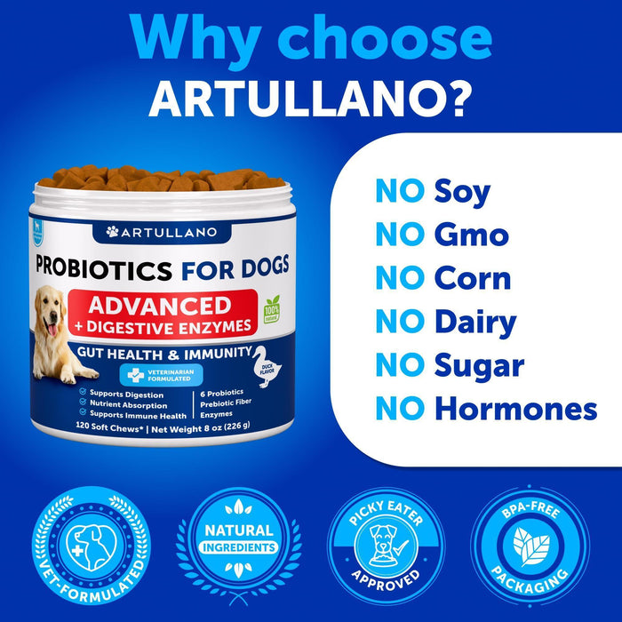Artullano Advanced Probiotics for Dogs, Duck Flavor, 2-Pack, 240 Soft Chews Total