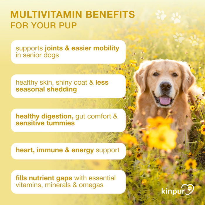 Kinpur 20-in-1 Multivitamin Soft Chews for Dogs, Duck, 180 Count