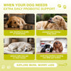Kinpur Probiotic Soft Chews for Dogs, Duck, 120 Count