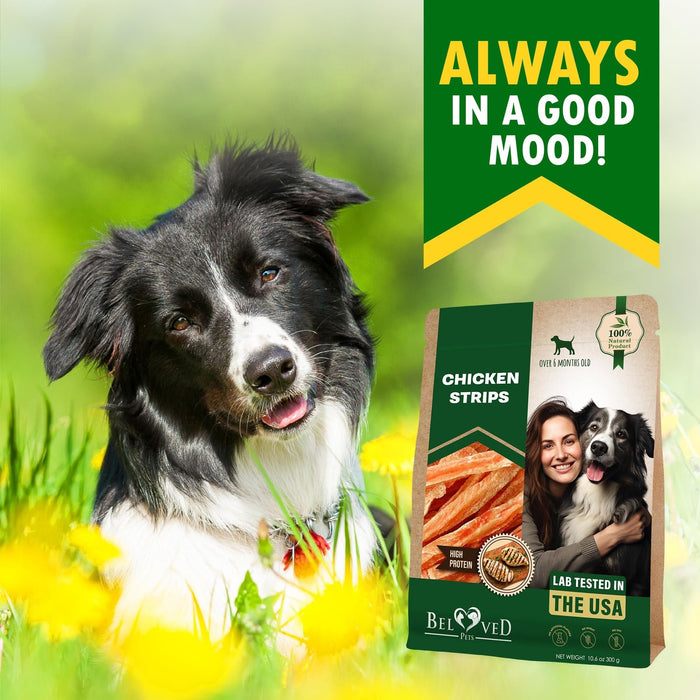 Beloved Pets Chicken Jerky Strips Dog Treats, 10.6 oz