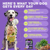 Chewia Multivitamin Soft Chews for Dogs, Duck Flavor, 180 Count