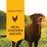 Instinct Original Wet Food Real Chicken Recipe dog 13.2 oz. product benefits and recipe information
