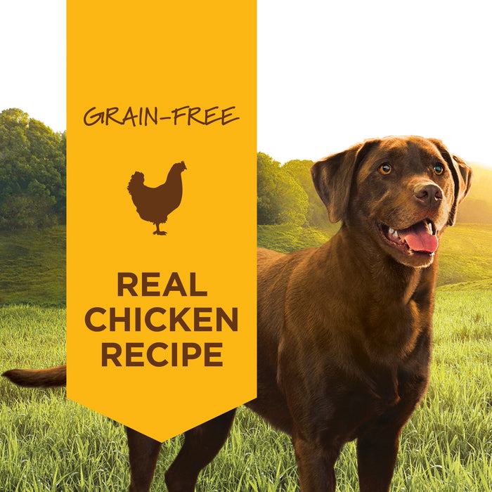 Instinct Original Wet Food Real Chicken Recipe dog 13.2 oz. product benefits and recipe information