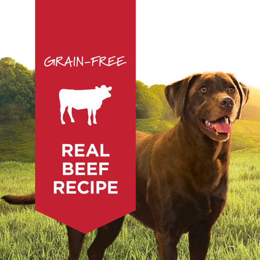 Instinct Original Wet Food Real Beef Recipe dog 13.2 oz. product benefits and recipe information