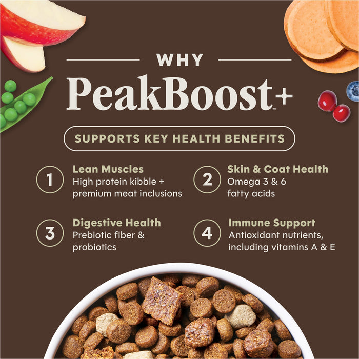 Instinct PeakBoost+ Kibble Real Beef Recipe dog 3.5 lb. product benefits and recipe information