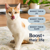 Instinct Raw Boost Kibble Real Chicken Recipe cat 5 lb. product benefits and recipe information