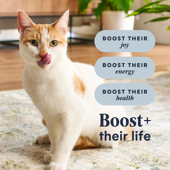 Instinct Raw Boost Kibble Indoor Health Recipe with Real Rabbit cat 4.5 lb. product benefits and recipe information