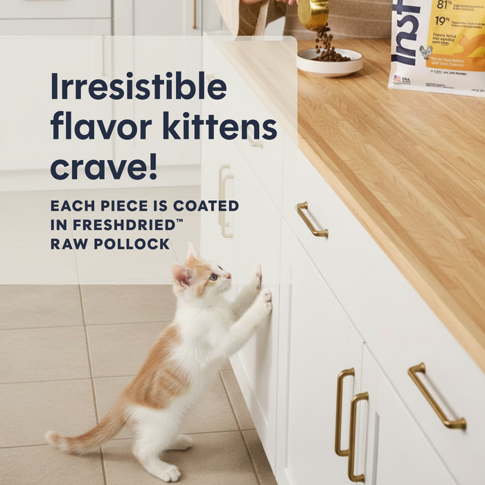 Instinct Original Kibble for Kittens Chicken Recipe cat 4.5 lb. product benefits and recipe information