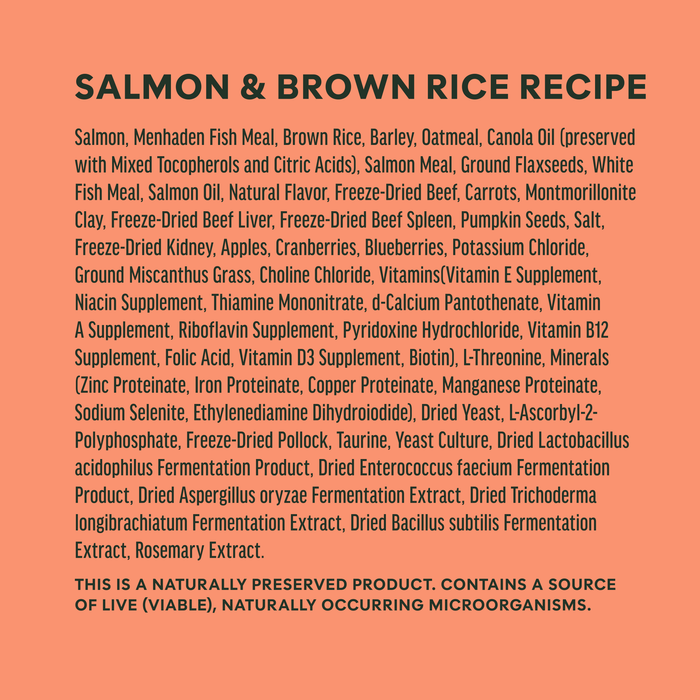 Instinct RawBoost+ Whole Grain Kibble Real Salmon & Brown Rice Recipe dog  ingredients, nutrition and feeding label