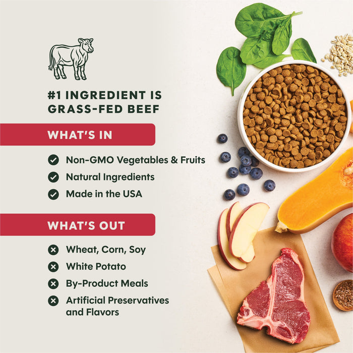 Instinct BeNatural Kibble Real Beef & Barley Recipe dog 25 lb. product benefits and recipe information