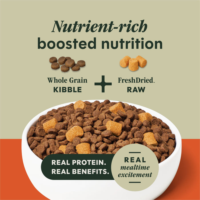 Instinct RawBoost+ Whole Grain Kibble Gut Health Recipe dog 18 lb. product benefits and recipe information