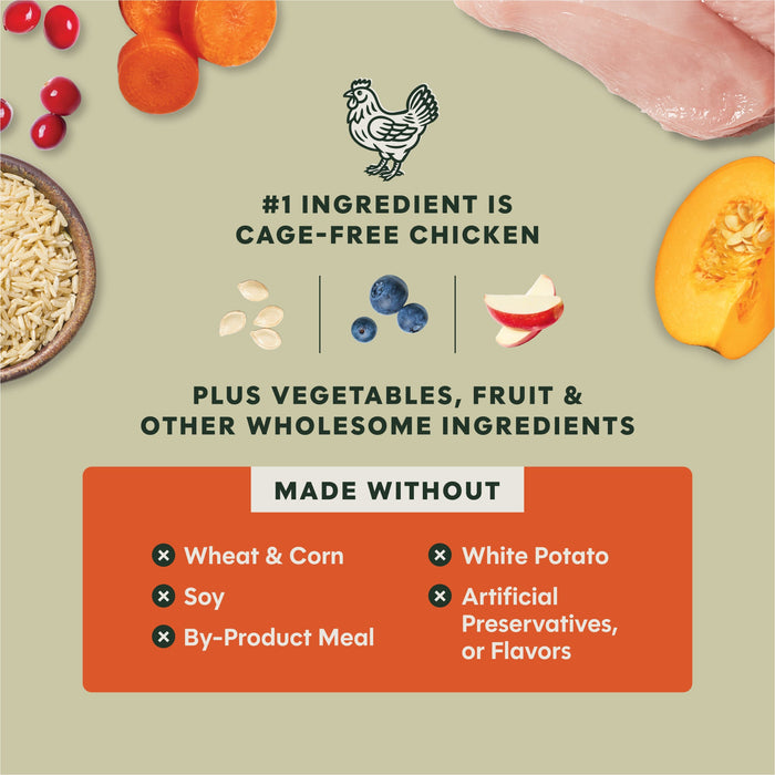 Instinct RawBoost+ Whole Grain Kibble Gut Health Recipe dog 18 lb. product benefits and recipe information