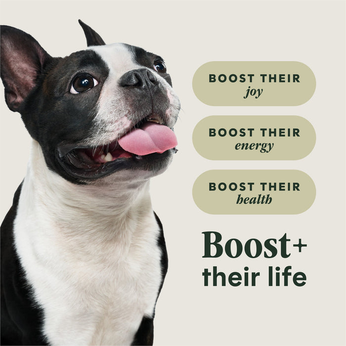 Instinct RawBoost+ Kibble for Small Breed Dogs Real Beef Recipe dog 10 lb. product benefits and recipe information