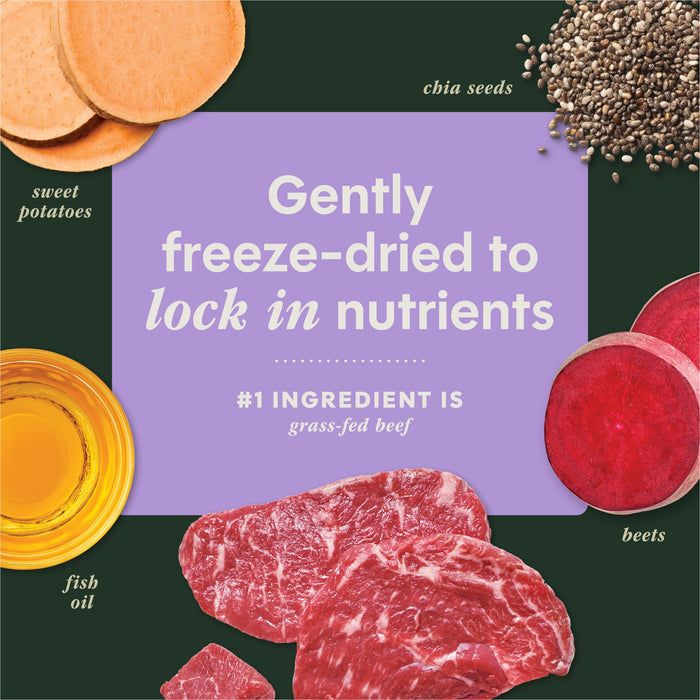 Instinct RawBoost+ Mixers Multivitamin Recipe dog  product benefits and recipe information