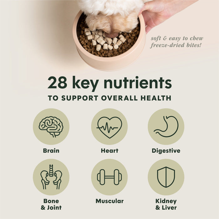Instinct RawBoost+ Mixers Multivitamin Recipe dog  product benefits and recipe information
