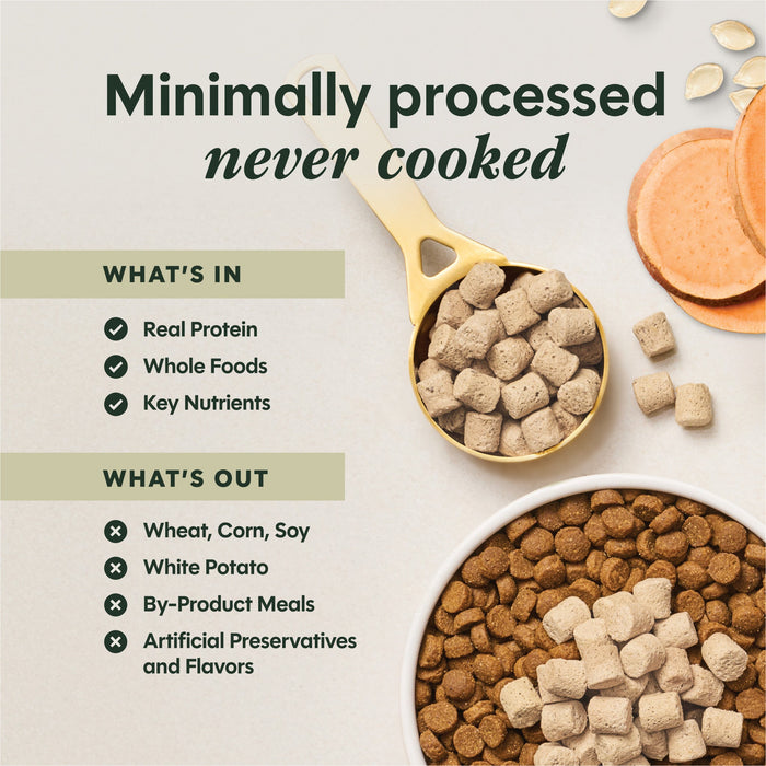 Instinct RawBoost+ Mixers Multivitamin Recipe dog  product benefits and recipe information