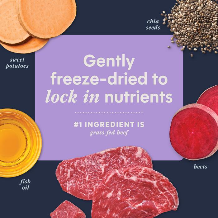Instinct RawBoost+ Mixers Multivitamin Recipe cat  product benefits and recipe information