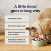Instinct RawBoost+ Mixers Skin & Coat Health Recipe cat  product benefits and recipe information