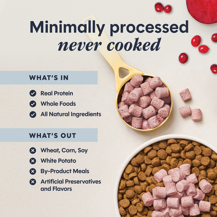 Instinct RawBoost+ Mixers Skin & Coat Health Recipe cat  product benefits and recipe information