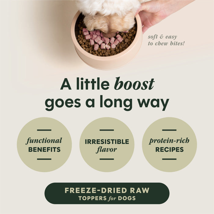 Instinct RawBoost+ Mixers Skin & Coat Health Recipe dog  product benefits and recipe information