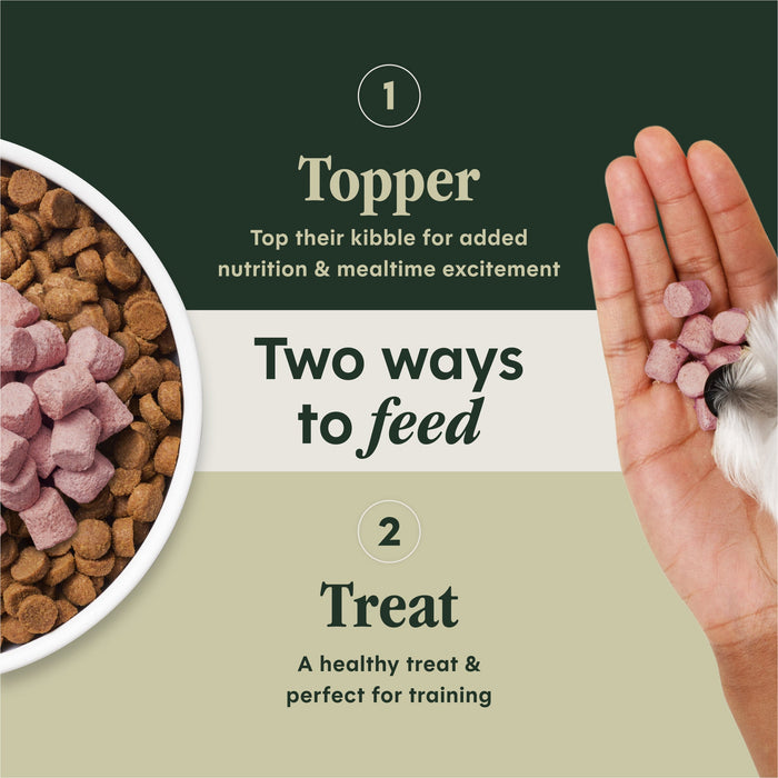 Instinct RawBoost+ Mixers Skin & Coat Health Recipe dog  product benefits and recipe information