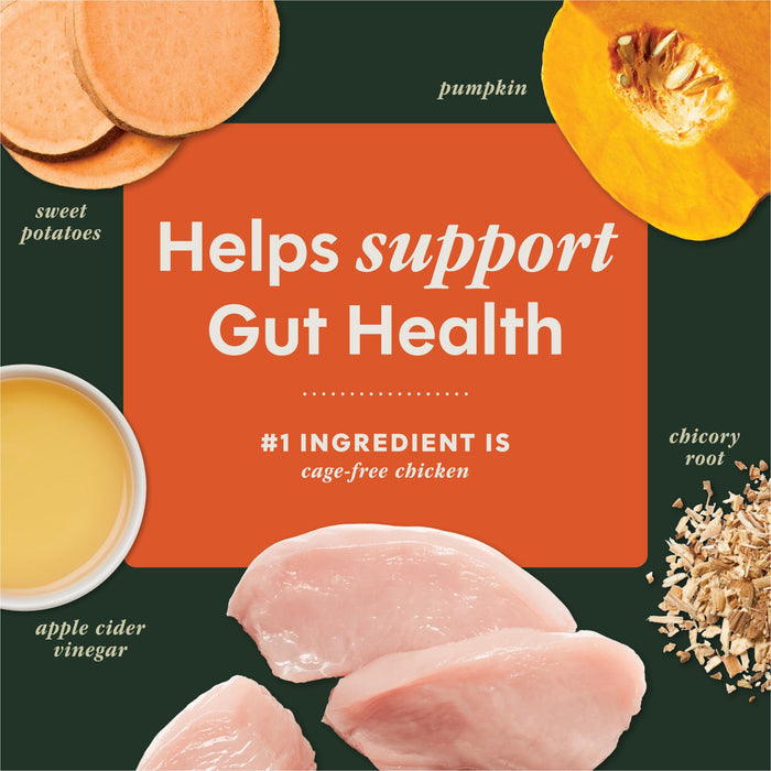 Instinct RawBoost+ Mixers Gut Health Recipe dog  product benefits and recipe information