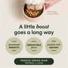 Instinct RawBoost+ Mixers Gut Health Recipe dog  product benefits and recipe information