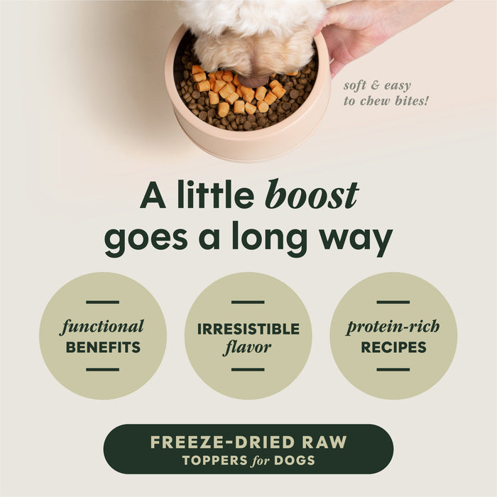Instinct RawBoost+ Mixers Gut Health Recipe dog  product benefits and recipe information