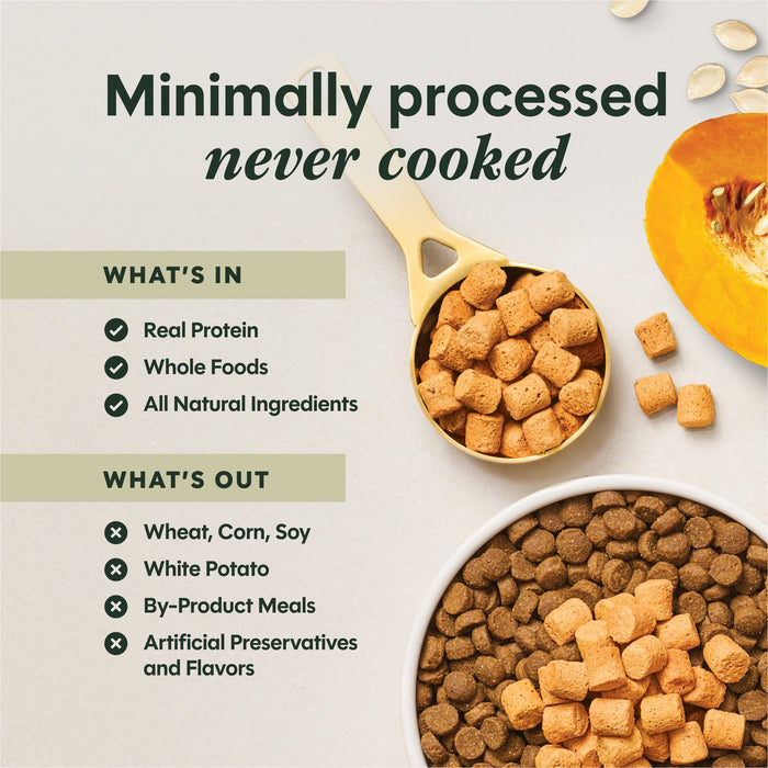 Instinct RawBoost+ Mixers Gut Health Recipe dog  product benefits and recipe information
