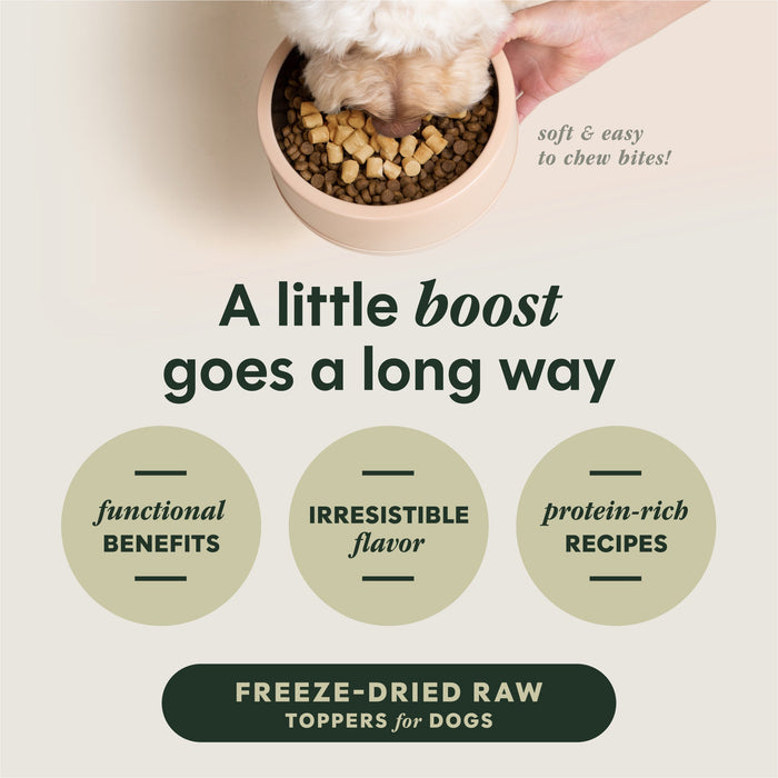 Instinct RawBoost+ Mixers Mobility Support Recipe dog 5.5 oz. product benefits and recipe information