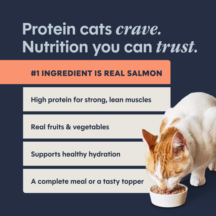 Instinct Original Patés Real Salmon Recipe cat 3 oz. product benefits and recipe information